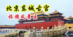 四虎肛交中国北京-东城古宫旅游风景区